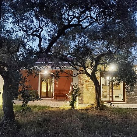 Elea Stone Houses In Organic Quiet Olive Grove, Prinos, Thassos Prínos Exterior foto