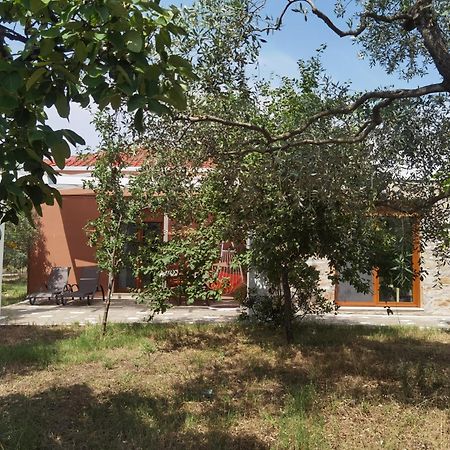 Elea Stone Houses In Organic Quiet Olive Grove, Prinos, Thassos Prínos Quarto foto