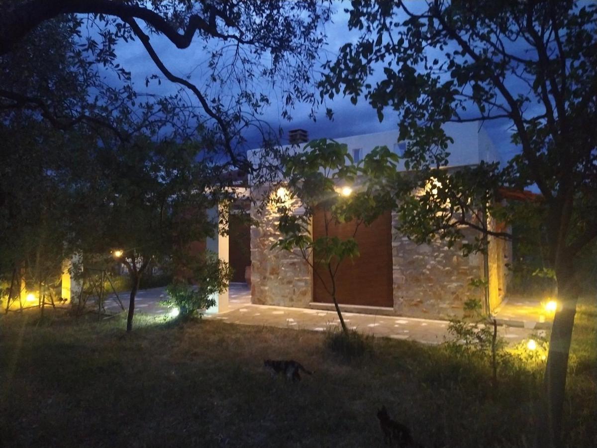 Elea Stone Houses In Organic Quiet Olive Grove, Prinos, Thassos Prínos Exterior foto