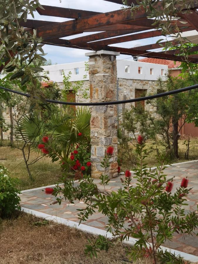 Elea Stone Houses In Organic Quiet Olive Grove, Prinos, Thassos Prínos Exterior foto