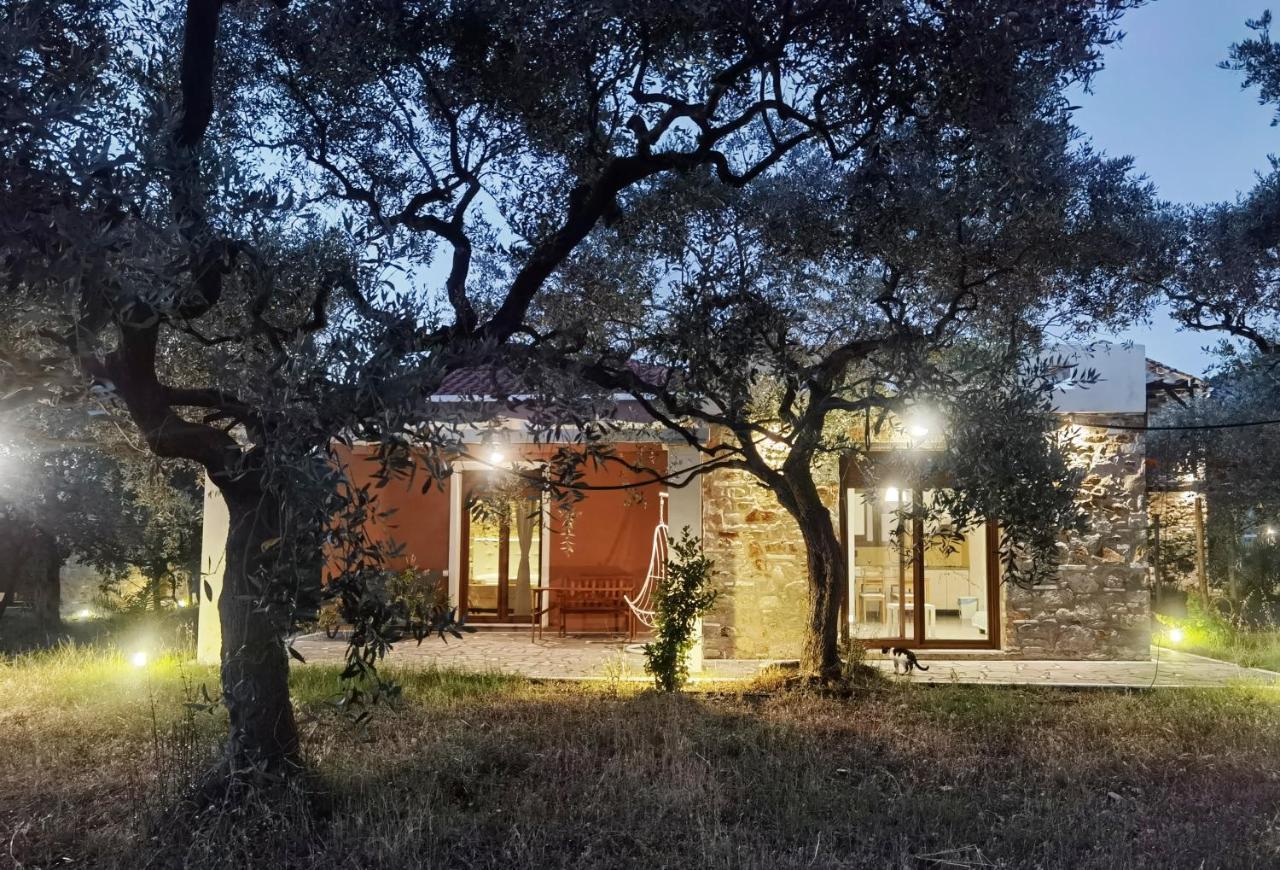 Elea Stone Houses In Organic Quiet Olive Grove, Prinos, Thassos Prínos Exterior foto