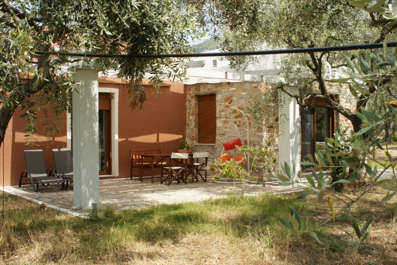 Elea Stone Houses In Organic Quiet Olive Grove, Prinos, Thassos Prínos Exterior foto