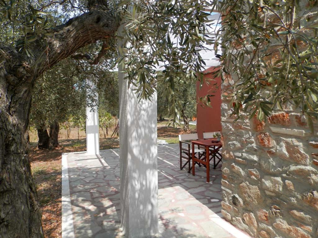 Elea Stone Houses In Organic Quiet Olive Grove, Prinos, Thassos Prínos Exterior foto