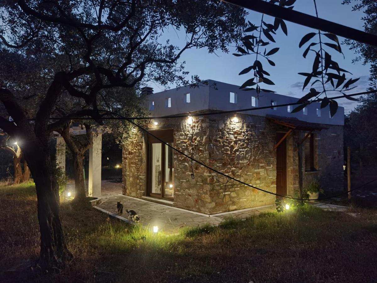 Elea Stone Houses In Organic Quiet Olive Grove, Prinos, Thassos Prínos Exterior foto