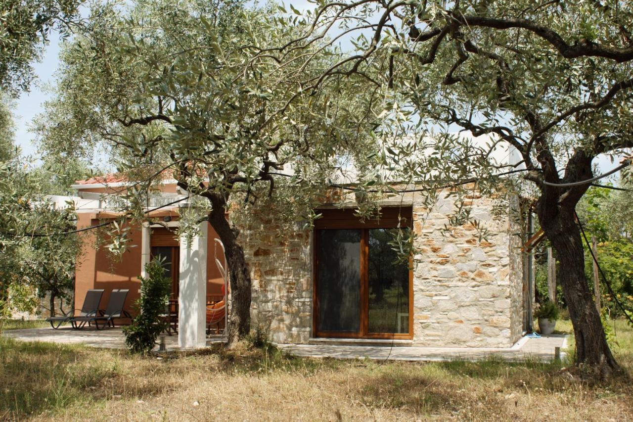 Elea Stone Houses In Organic Quiet Olive Grove, Prinos, Thassos Prínos Exterior foto
