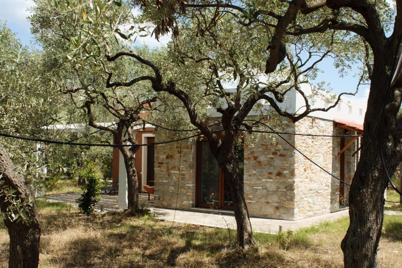 Elea Stone Houses In Organic Quiet Olive Grove, Prinos, Thassos Prínos Exterior foto