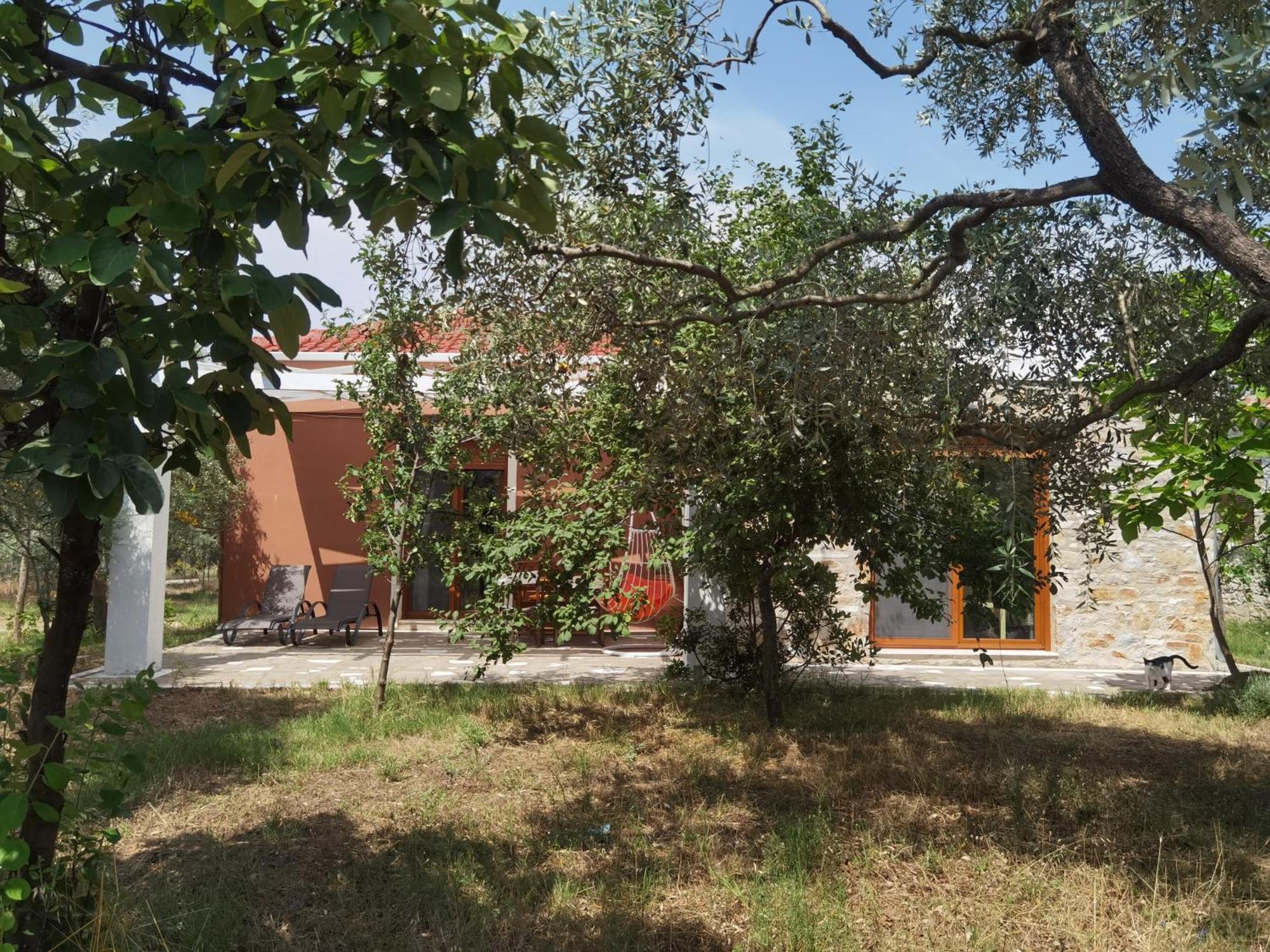 Elea Stone Houses In Organic Quiet Olive Grove, Prinos, Thassos Prínos Quarto foto