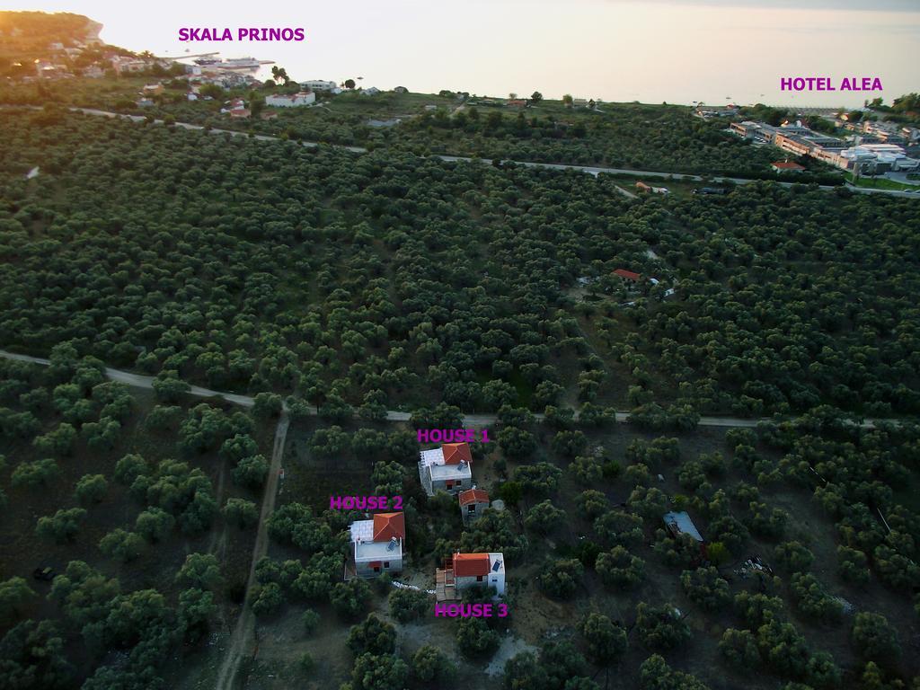 Elea Stone Houses In Organic Quiet Olive Grove, Prinos, Thassos Prínos Exterior foto