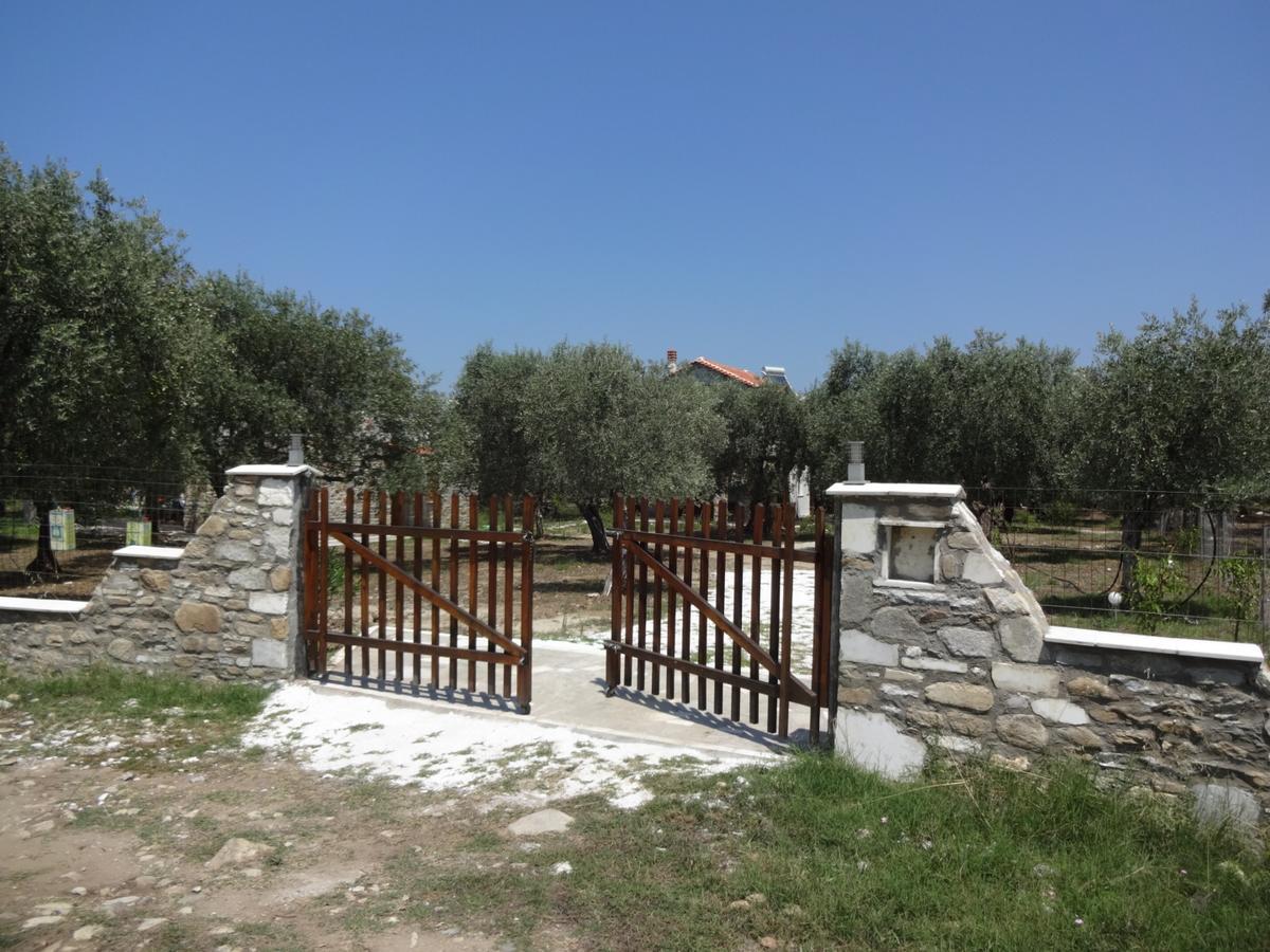 Elea Stone Houses In Organic Quiet Olive Grove, Prinos, Thassos Prínos Exterior foto
